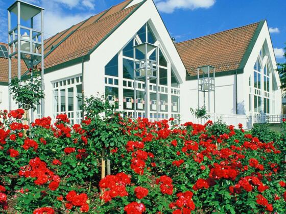 Dr. Stammberger Halle