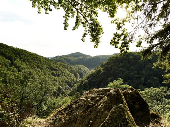 Aussicht vom Forstmeistersprung über das Steinachtal
