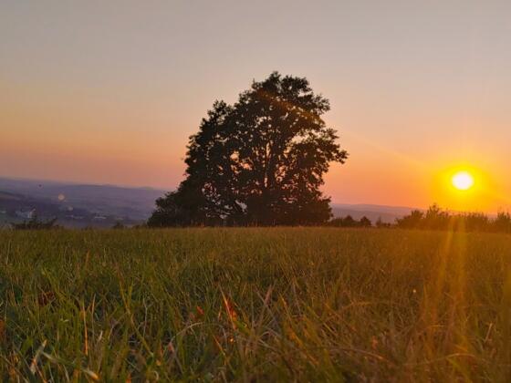 Aussicht vom Ansberg(Veitsberg)