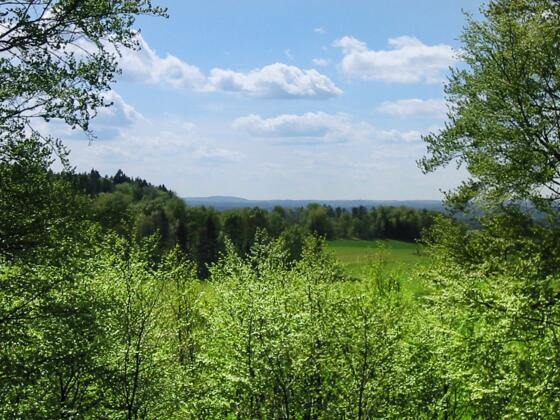 Aussicht vom Belvedere