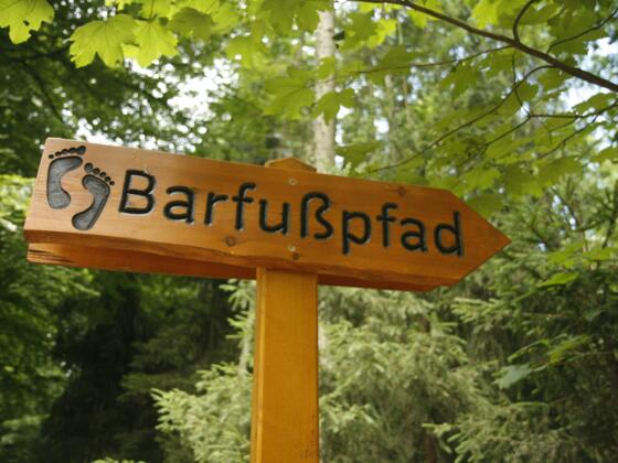 Naturlehrpfad am Rehberg