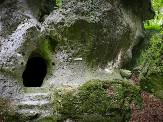 Bärenhöhle