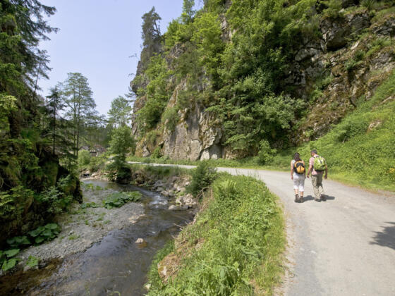 Wanderer in der Steinachklamm