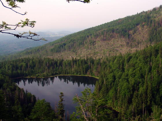 Rachelsee ~1071m von der Kapelle gesehen
