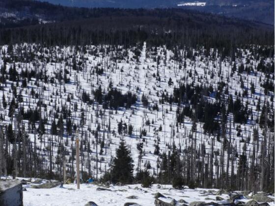 Himmelsleiter am Lusen