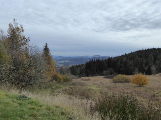 Aussicht vom Landshuter Haus