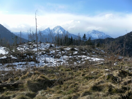Watzmann und Hochkalter vom Nordgipfel