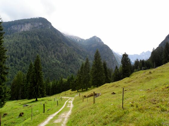 Alm am Schattseitweg