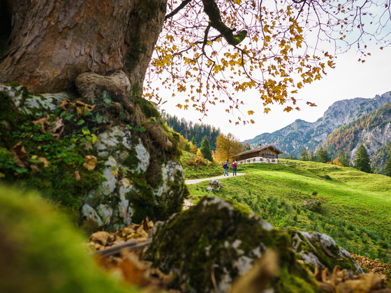 Die Priesbergalm im Nationalpark Berchtesgaden
