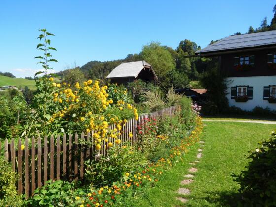 Ländliche Idylle am Dürrnberg