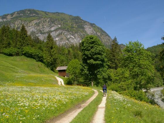 Saalachtal-Radweg