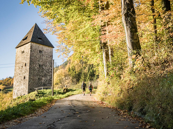 Paßturm: Der alte Schellenberger Wehrturm