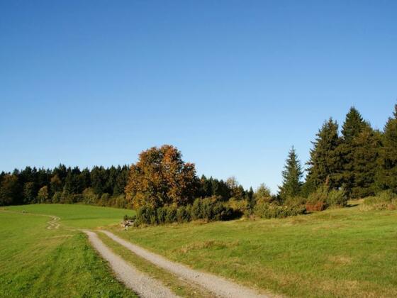 Wacholderheide bei Hinterwies
