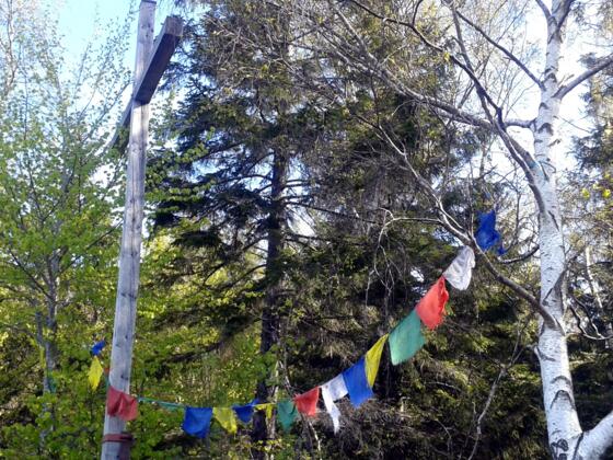 Wagensonnriegel Frauenau