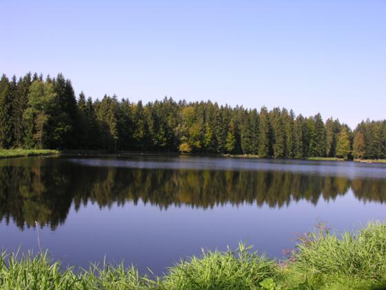 Großarmschlager Stausee 2