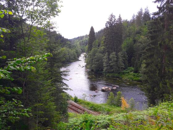 Schwarzer Regen "Bayerisch Kanada"