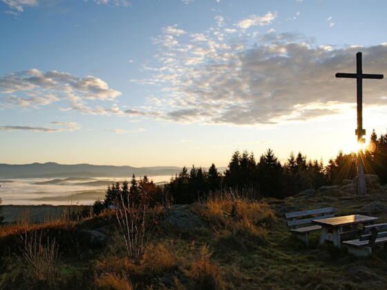 Pröllergipfel (1048 m) mit Blick zum Großen Arber