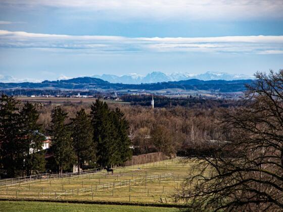 Malching mit Alpenpanorama