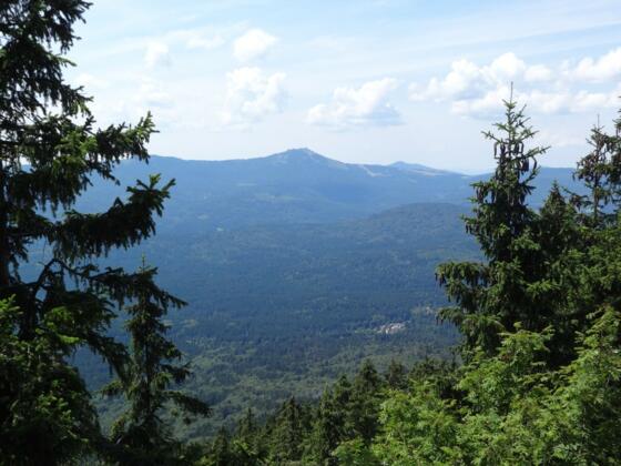 Blick vom Gr. Falkenstein auf den Arber