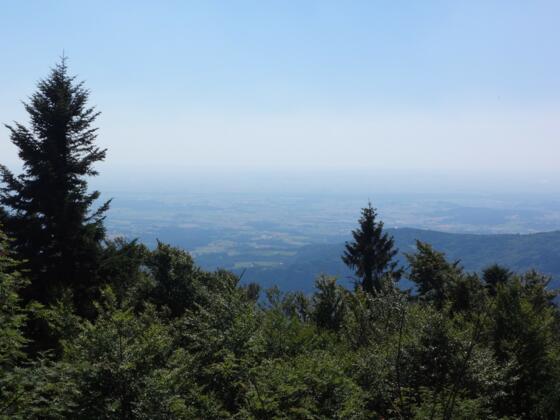 Blick vom Rauhen Kulm