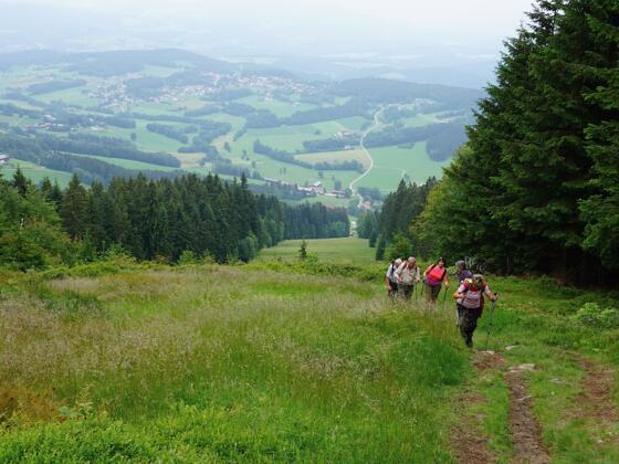 Prölleranstieg vor dem Gipfel mit Blick nach Kollnburg