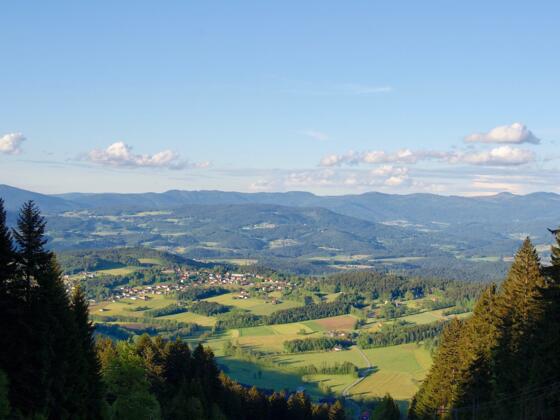 Fernsicht vom Pröller-Nordhang nach Kollnburg und ins Riedbachtal