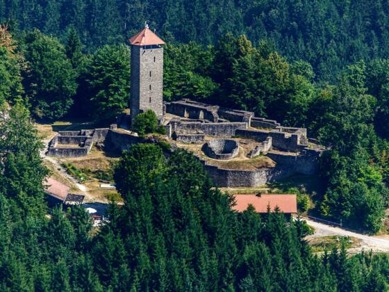 Burgruine Altnußberg