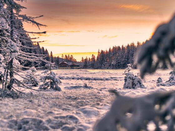 Der Große Arbersee im Winter