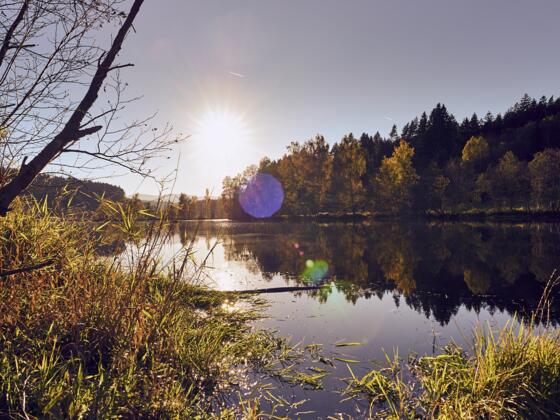Flusswanderweg Regen/Zwiesel