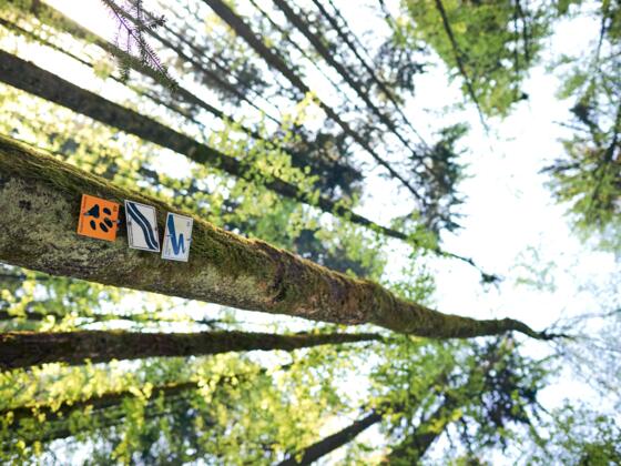 Flusswanderweg Bayerisch Eisenstein