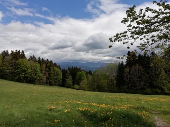 Panoramaregion Patersdorf