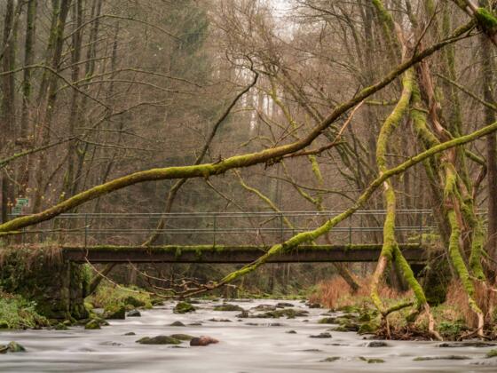 Nothelfersteig Patersdorf