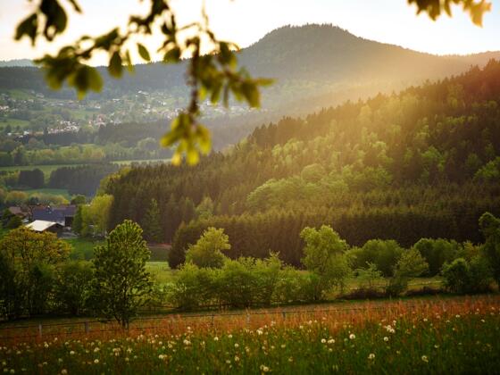 Hennenkobel Langdorf