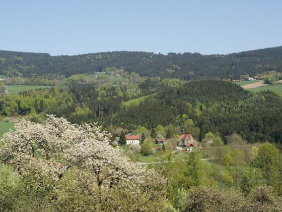 Aussicht vom Weg nach Autsdorf nach Pürgl
