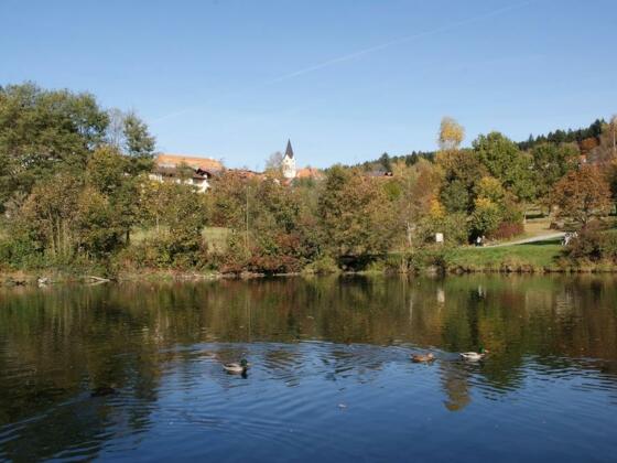 Englmarweiher im Kurpark