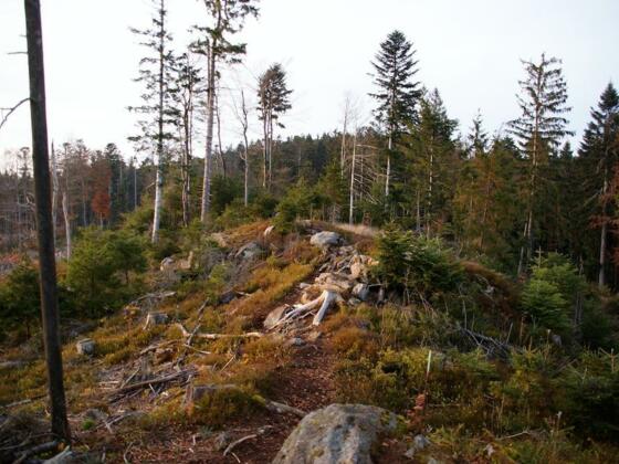 Hadriwa-Höhenweg (Alternativ-Weg)