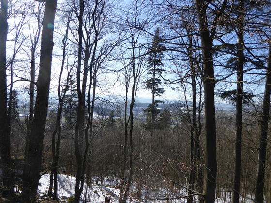 Blick vom Schlossberg