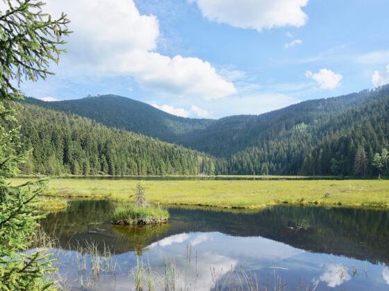 Blick vom Nordufer zur großen schwimmenden Insel und Großer Arber