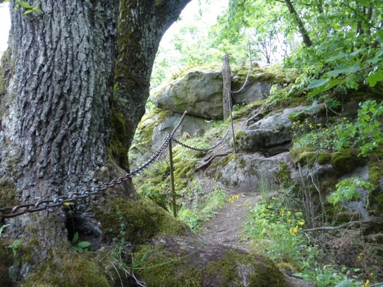 Burgruine Sengersberg