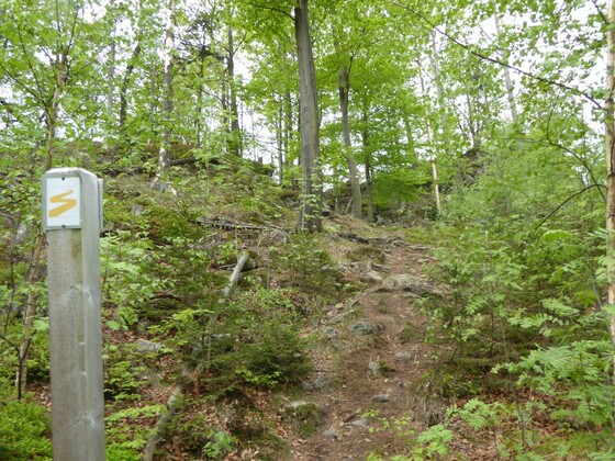 Wilde Pfade am Grat des Klammerfels