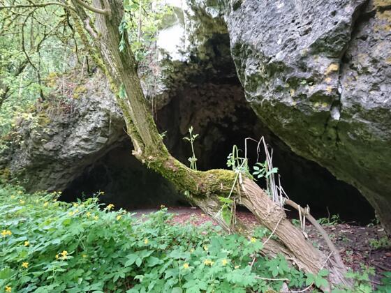 Die Rohenlochhöhle bei Plech