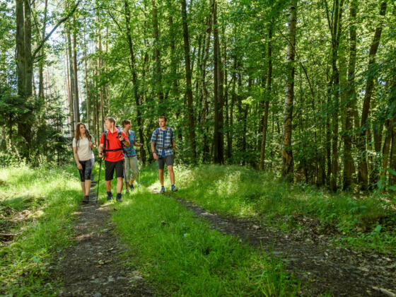 Wandern in Coburg.Rennsteig