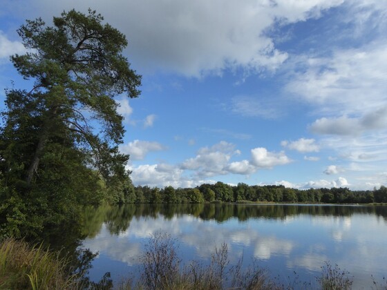 Charlottenhofer Weihergebiet - Hausweiher
