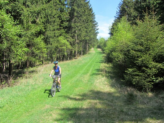 aufgelassenes Skigebiet Reichenstein