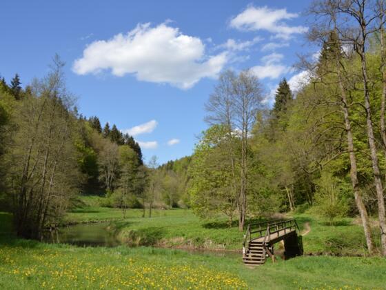 Wo das Wiesenttal ganz eng ist