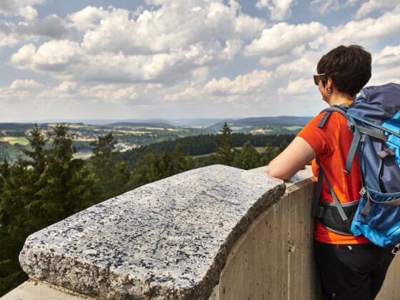 Blick vom Lucas-Cranach-Turm