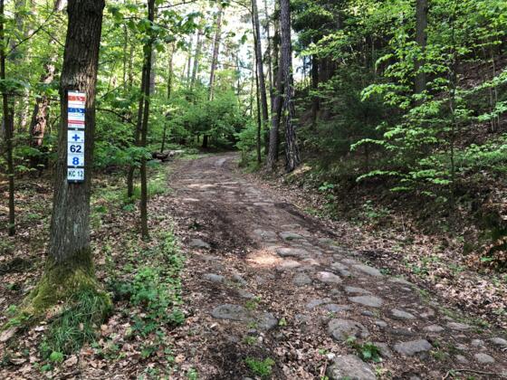 Die Alte Heeres- und Handelsstraße bei Weißenbrunn