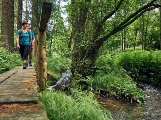 Auf dem Steg am großen Rehbach