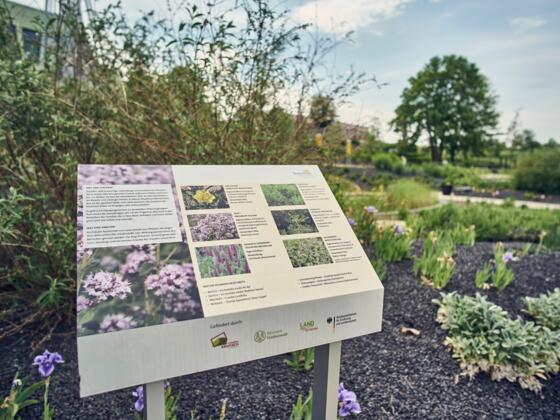Kräuter Lehr- und Schaugarten an der Arnika Akademie Teuschnitz