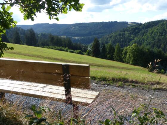 Ausblick von Forstloh Richtung Silberberg